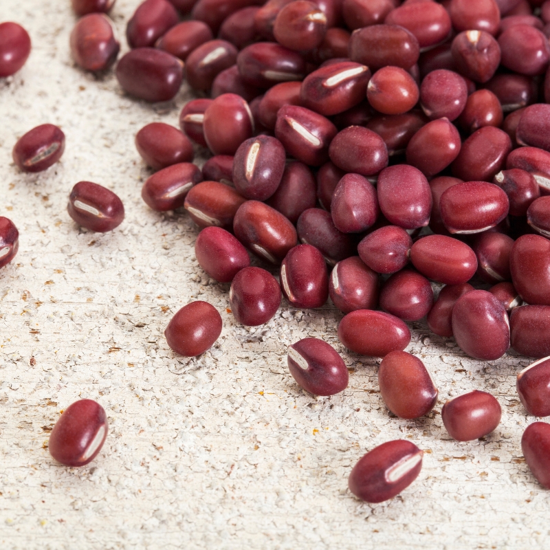 Navy Beans