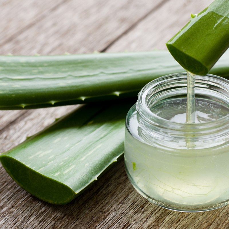 Aloe Vera Powder