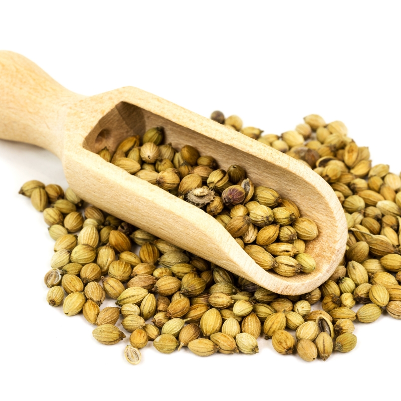 Coriander Seeds