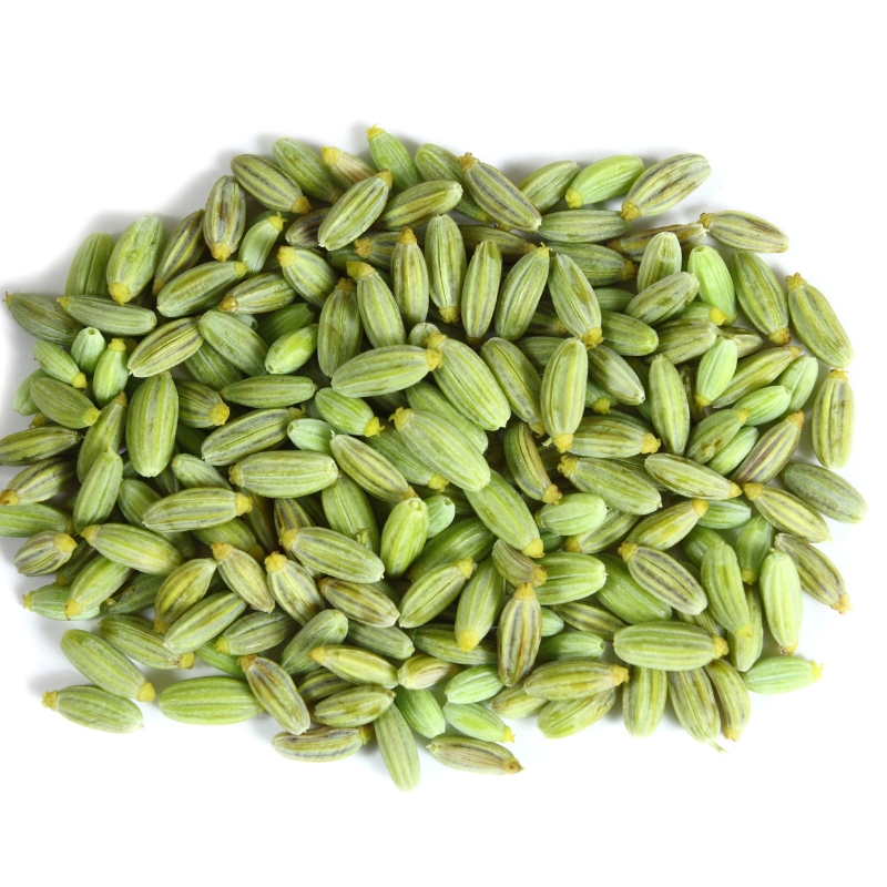 Cotton Seeds