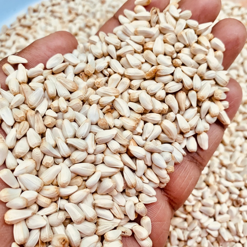 Safflower Seeds