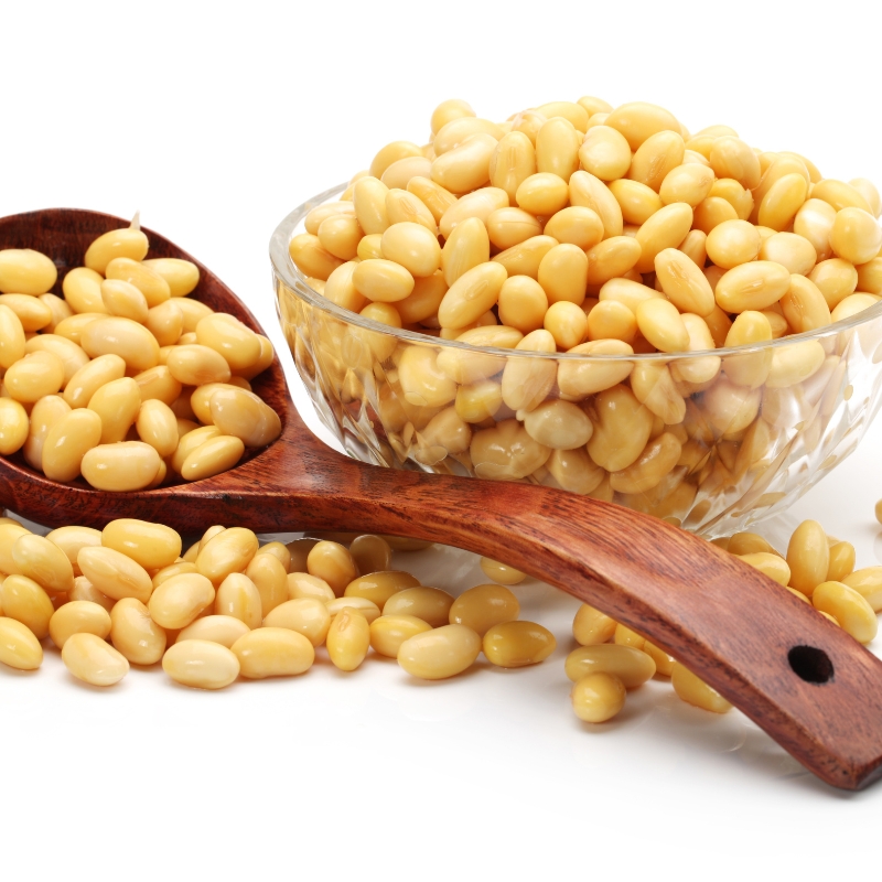 Soybean Seeds